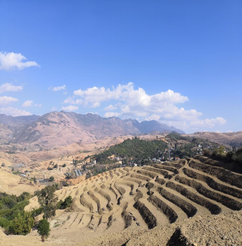 图为治理后的驻马哨小流域坡耕地水土流失综合治理工程