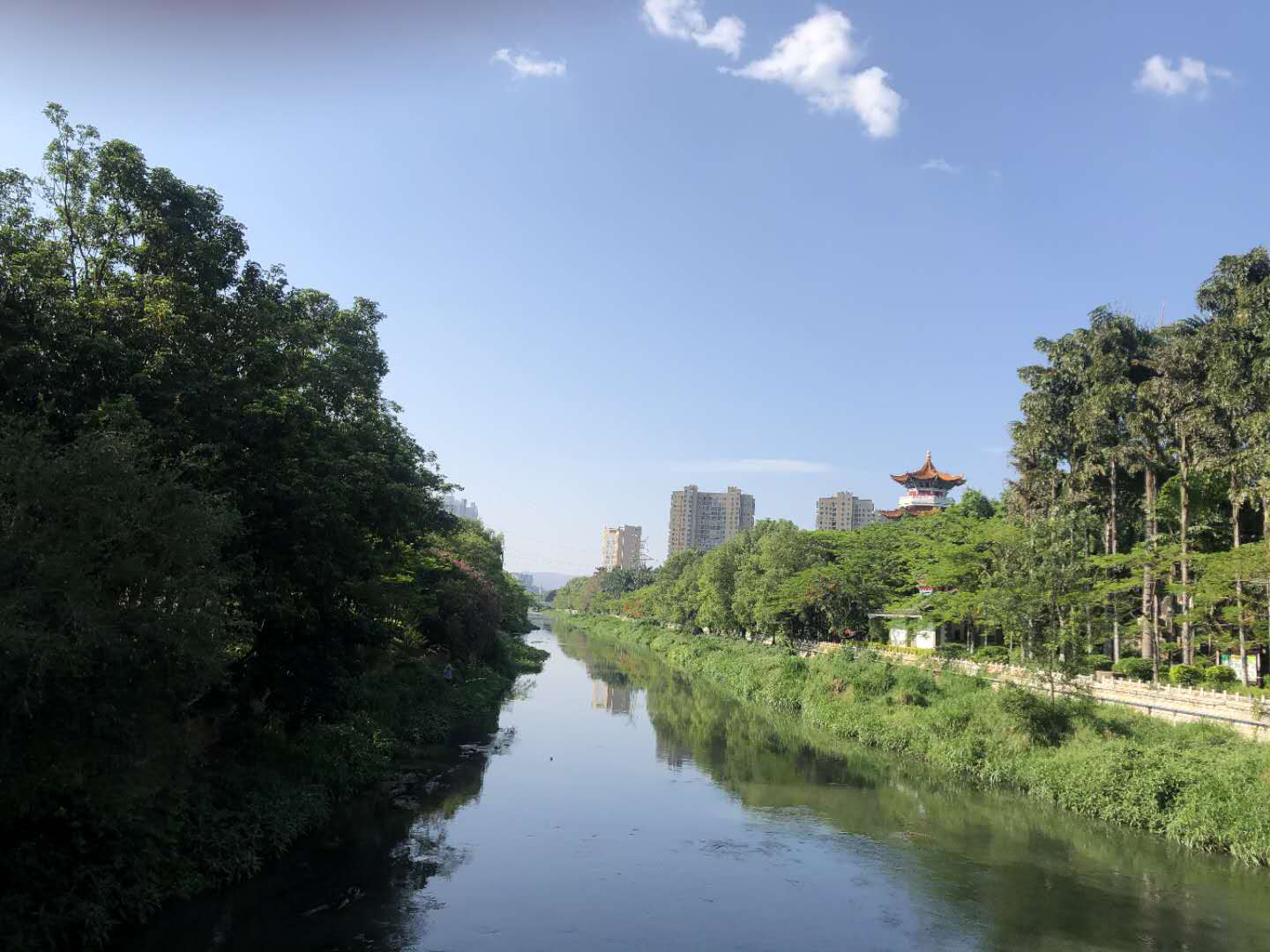 图为风光秀美的泸江河